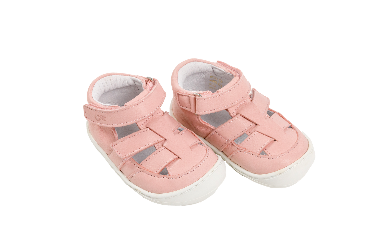 Bunny Barefoot - Tortue Barefoot