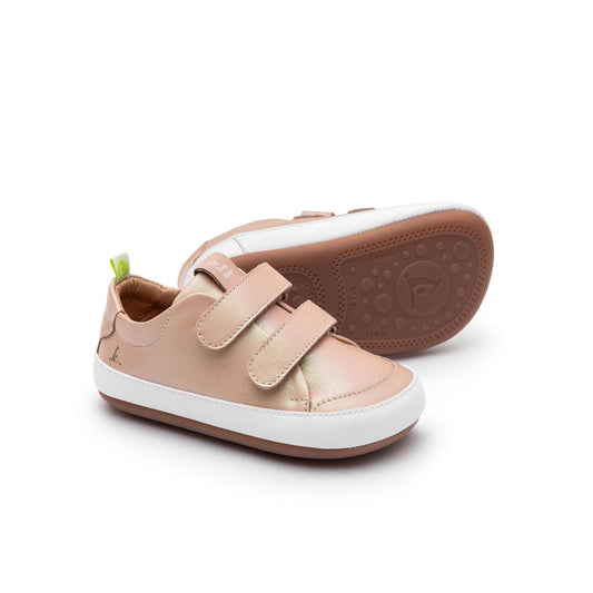 Tip Toey Joey - Baskets Bossy Candy Dream