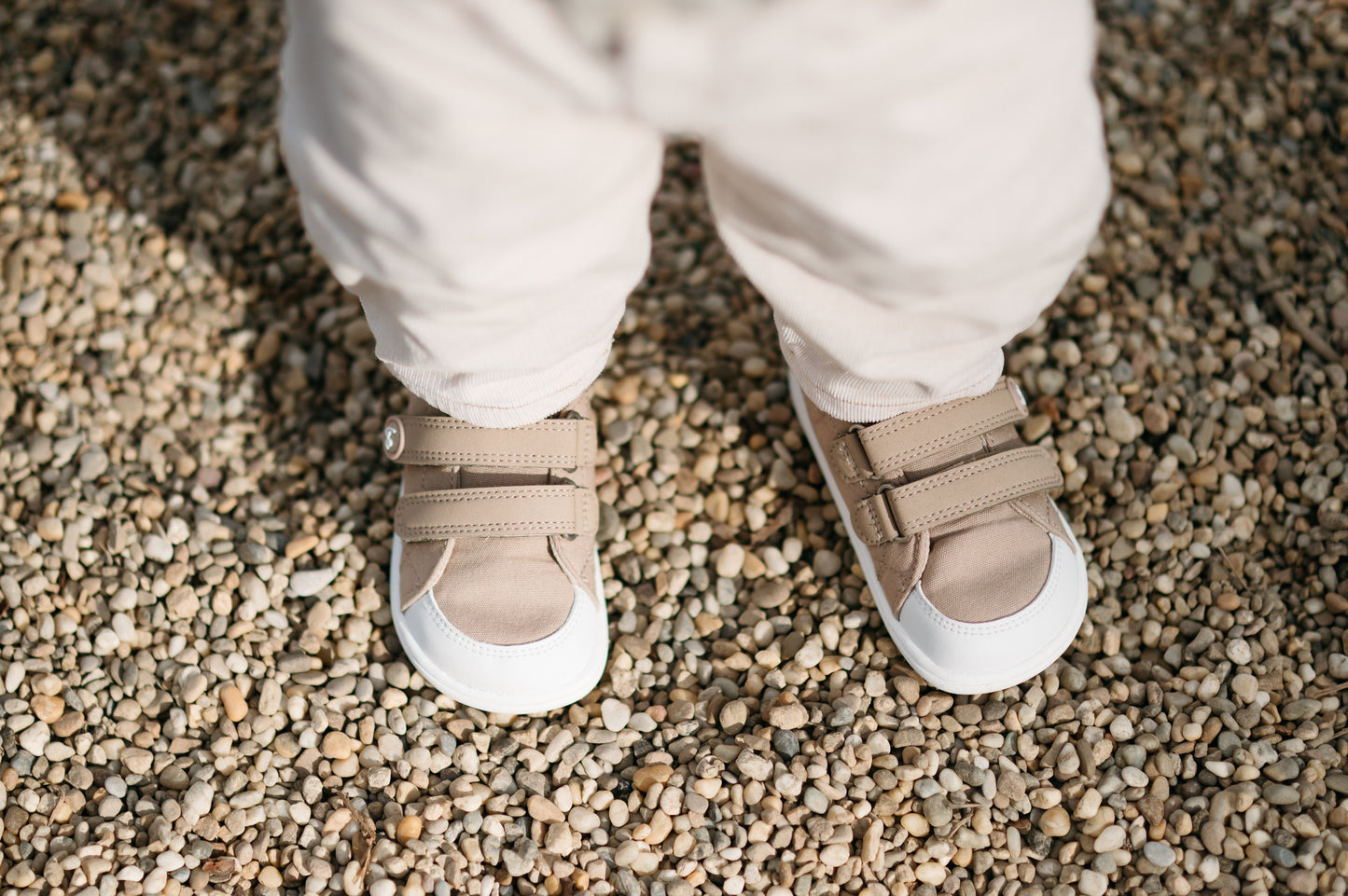 Pré- commande Be Lenka - Baskets Canvi Sable